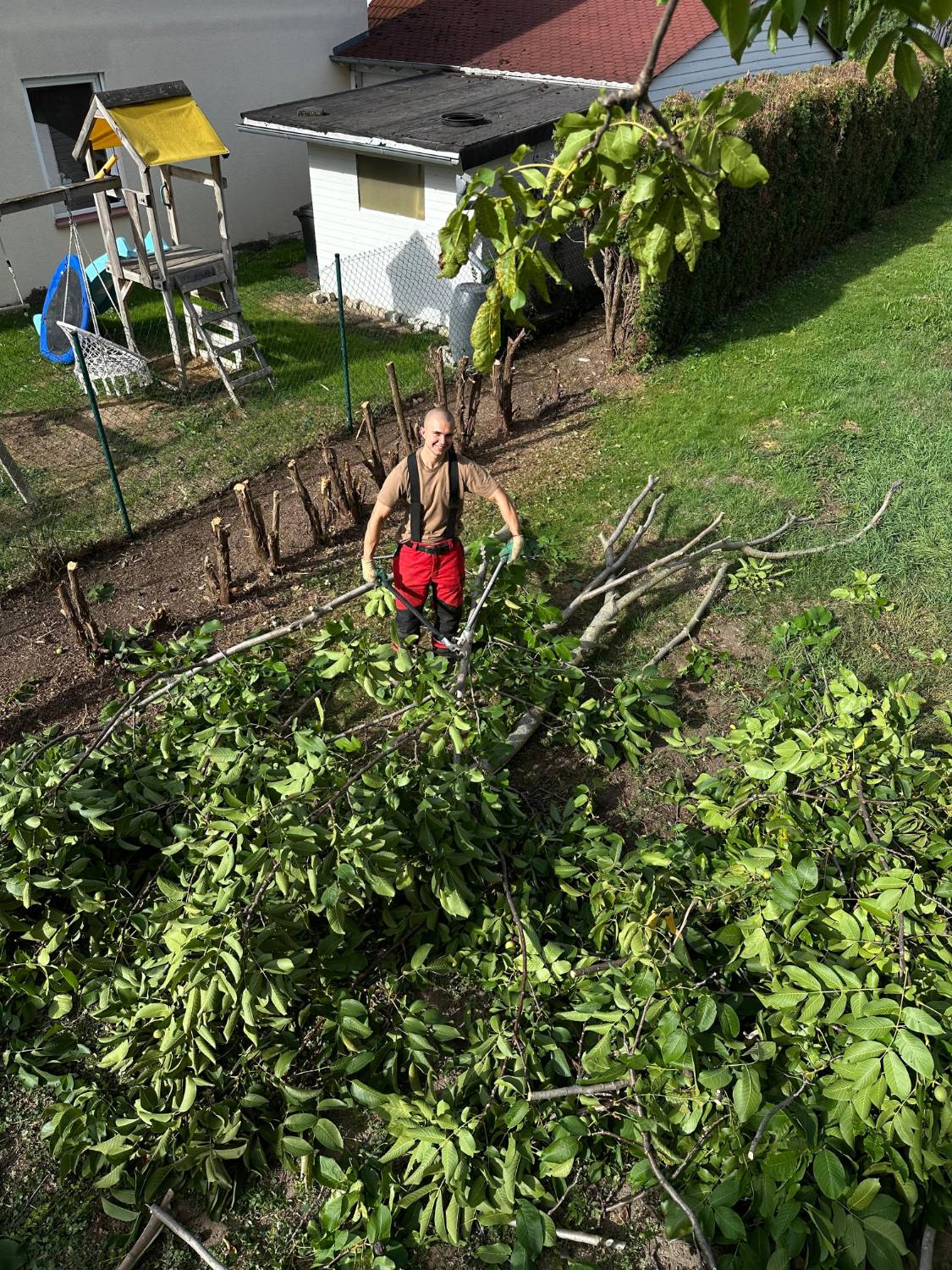 Teammitglied zerkleinert mit einer Astschere abgeschnittene Äste im Garten